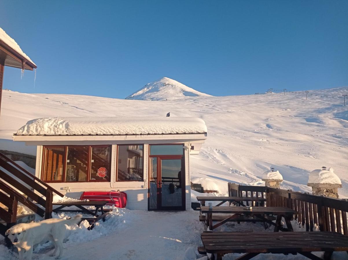 Cabana Transalpina Ranca Exterior photo